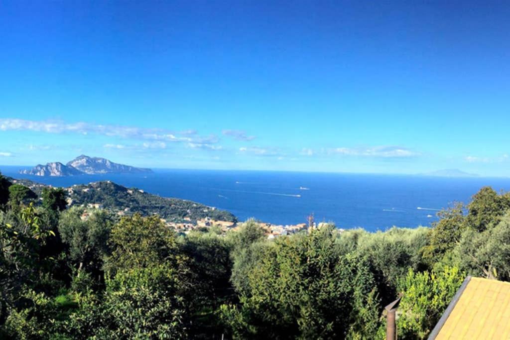 Domus Aqua Viva Villa Massa Lubrense Eksteriør bilde