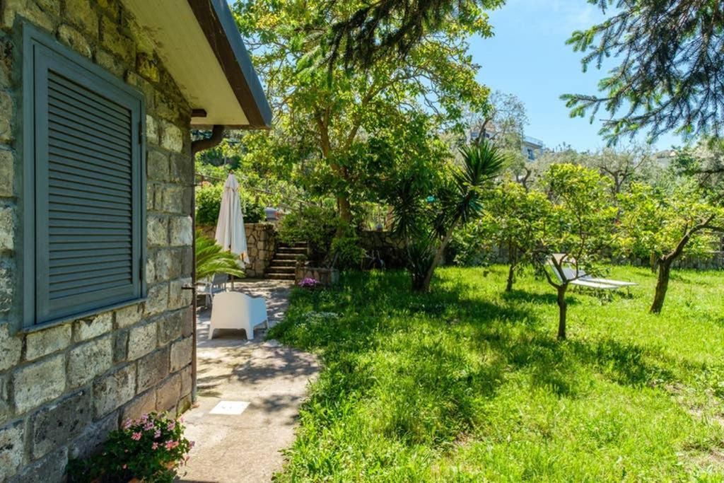 Domus Aqua Viva Villa Massa Lubrense Eksteriør bilde